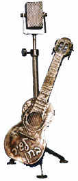 gitara265x114